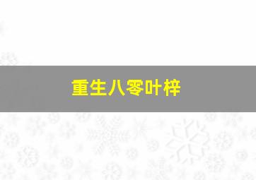 重生八零叶梓