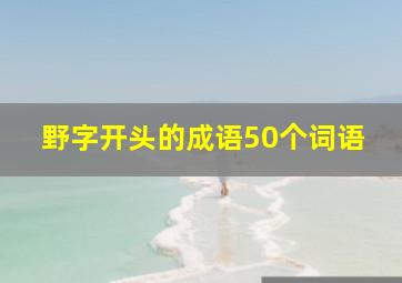 野字开头的成语50个词语