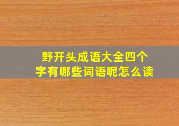 野开头成语大全四个字有哪些词语呢怎么读