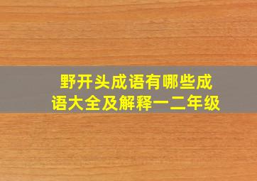 野开头成语有哪些成语大全及解释一二年级