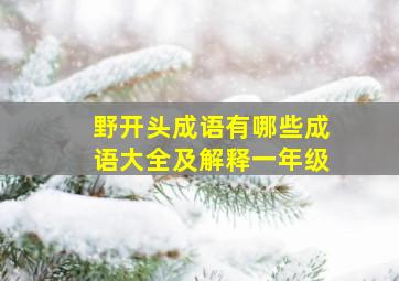 野开头成语有哪些成语大全及解释一年级