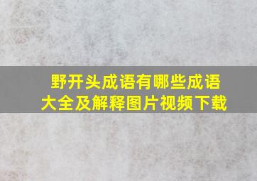 野开头成语有哪些成语大全及解释图片视频下载