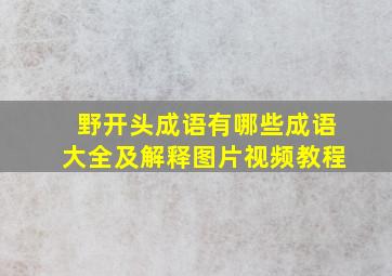 野开头成语有哪些成语大全及解释图片视频教程