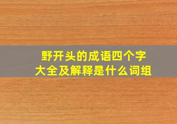 野开头的成语四个字大全及解释是什么词组