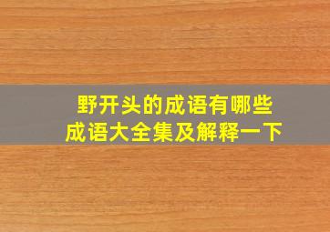 野开头的成语有哪些成语大全集及解释一下