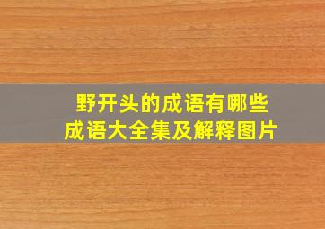 野开头的成语有哪些成语大全集及解释图片