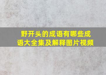 野开头的成语有哪些成语大全集及解释图片视频