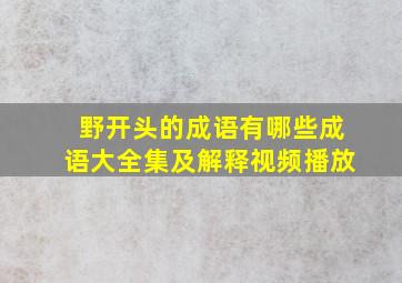 野开头的成语有哪些成语大全集及解释视频播放