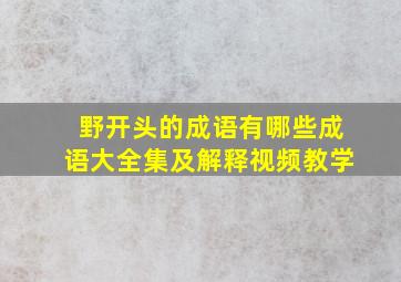 野开头的成语有哪些成语大全集及解释视频教学