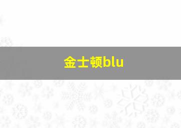 金士顿blu