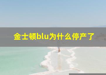 金士顿blu为什么停产了