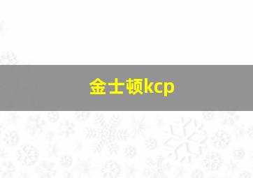 金士顿kcp