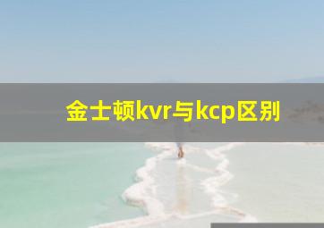 金士顿kvr与kcp区别