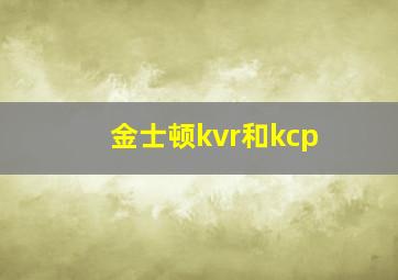 金士顿kvr和kcp