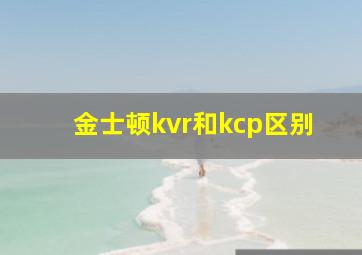 金士顿kvr和kcp区别