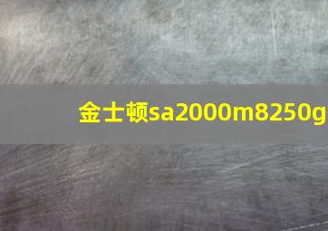 金士顿sa2000m8250g