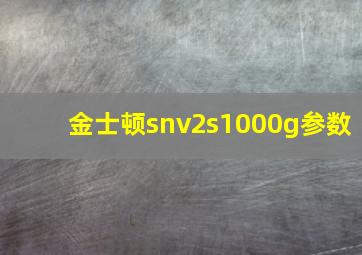 金士顿snv2s1000g参数