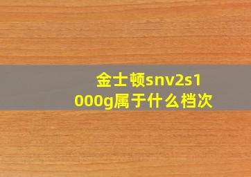 金士顿snv2s1000g属于什么档次