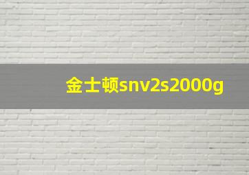 金士顿snv2s2000g