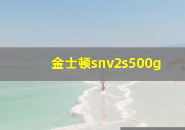 金士顿snv2s500g