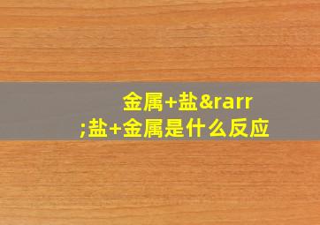 金属+盐→盐+金属是什么反应