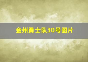 金州勇士队30号图片