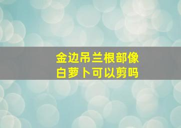 金边吊兰根部像白萝卜可以剪吗