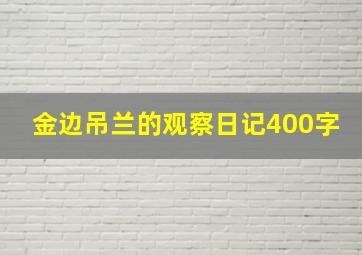 金边吊兰的观察日记400字