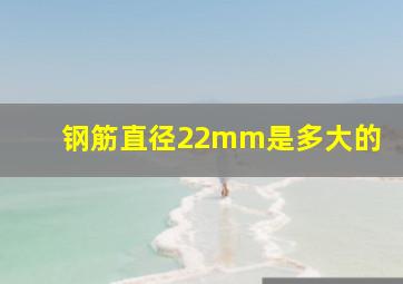 钢筋直径22mm是多大的