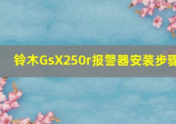 铃木GsX250r报警器安装步骤