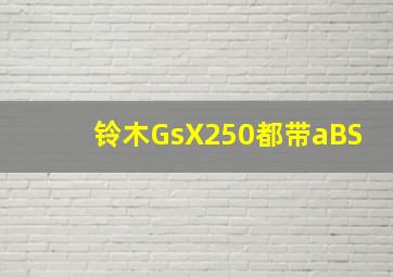 铃木GsX250都带aBS