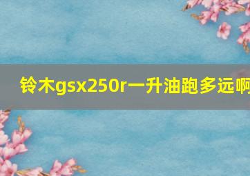 铃木gsx250r一升油跑多远啊