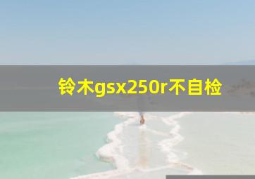 铃木gsx250r不自检