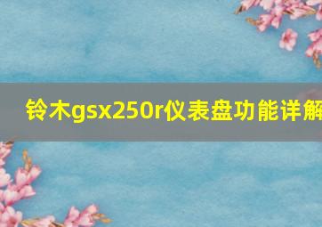 铃木gsx250r仪表盘功能详解