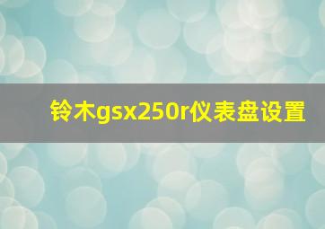 铃木gsx250r仪表盘设置