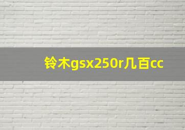 铃木gsx250r几百cc