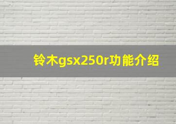 铃木gsx250r功能介绍