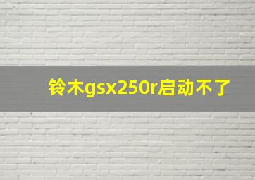 铃木gsx250r启动不了