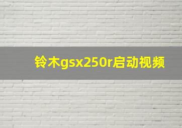 铃木gsx250r启动视频