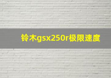 铃木gsx250r极限速度