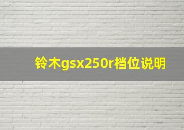 铃木gsx250r档位说明