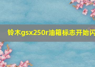 铃木gsx250r油箱标志开始闪