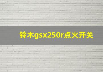 铃木gsx250r点火开关