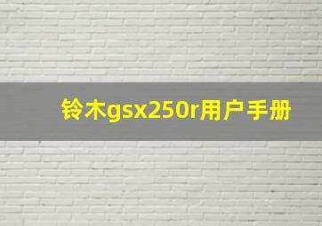 铃木gsx250r用户手册