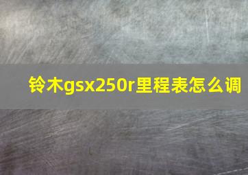 铃木gsx250r里程表怎么调