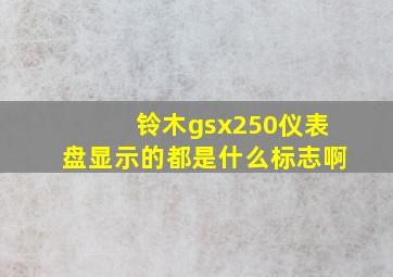 铃木gsx250仪表盘显示的都是什么标志啊