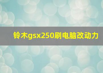 铃木gsx250刷电脑改动力