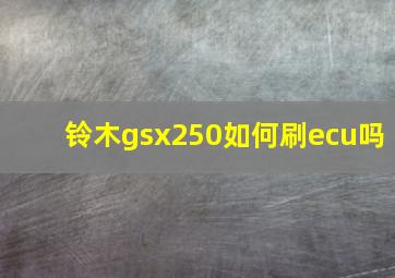 铃木gsx250如何刷ecu吗