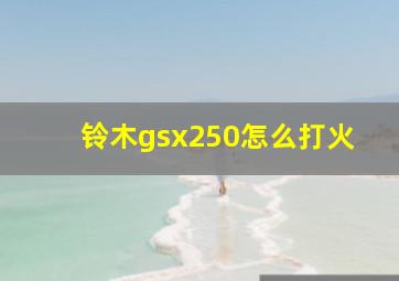 铃木gsx250怎么打火