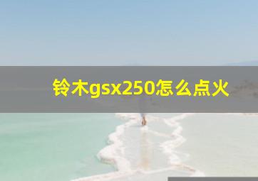 铃木gsx250怎么点火